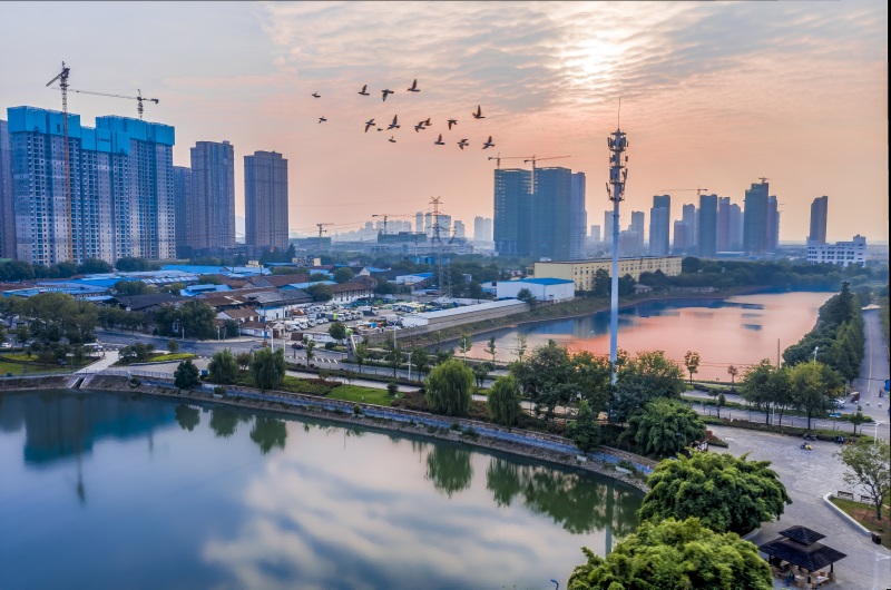 yp街机·电子游戏(中国)官方网站
