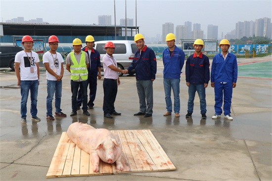 yp街机·电子游戏(中国)官方网站