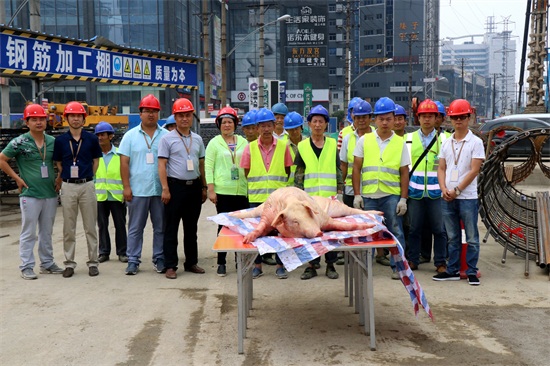 yp街机·电子游戏(中国)官方网站