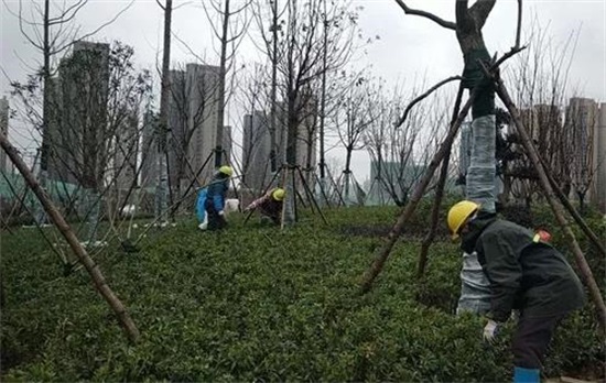 yp街机·电子游戏(中国)官方网站